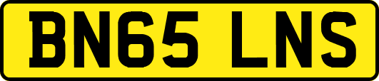 BN65LNS