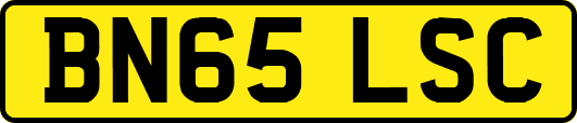 BN65LSC
