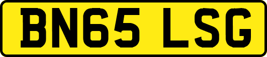 BN65LSG