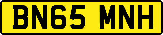 BN65MNH