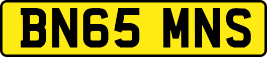 BN65MNS