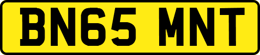 BN65MNT
