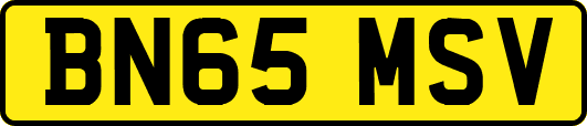 BN65MSV
