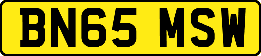 BN65MSW