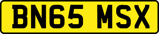 BN65MSX