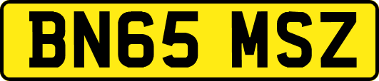 BN65MSZ
