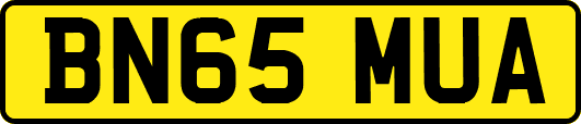 BN65MUA