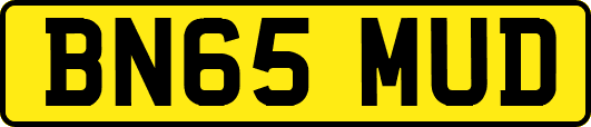 BN65MUD