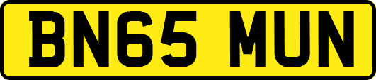 BN65MUN