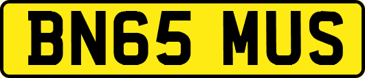 BN65MUS