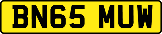 BN65MUW