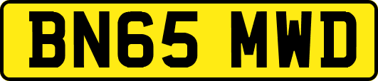 BN65MWD