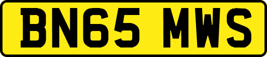 BN65MWS