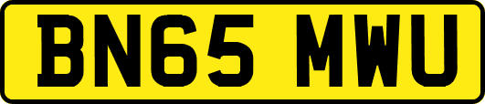 BN65MWU
