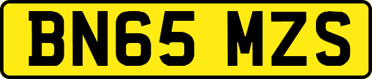 BN65MZS
