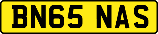BN65NAS
