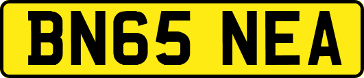 BN65NEA