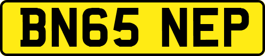BN65NEP