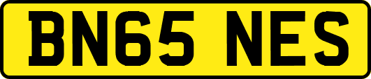 BN65NES