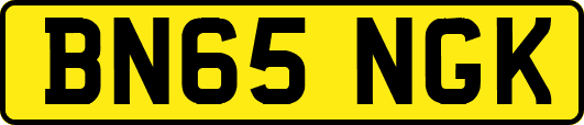 BN65NGK
