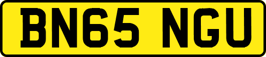 BN65NGU