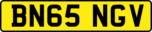 BN65NGV