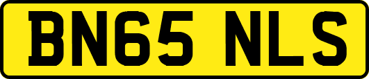 BN65NLS