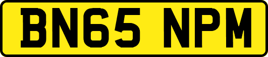 BN65NPM
