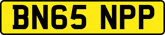 BN65NPP