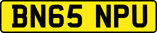 BN65NPU