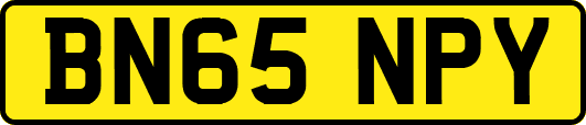 BN65NPY