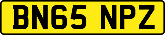BN65NPZ