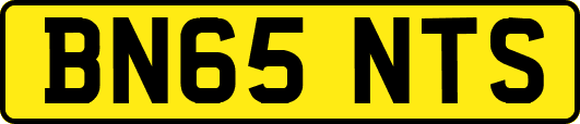 BN65NTS