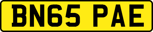 BN65PAE