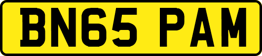 BN65PAM