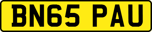 BN65PAU