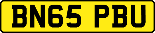 BN65PBU