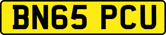 BN65PCU