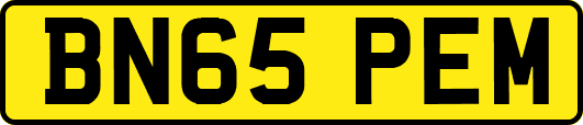 BN65PEM