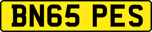 BN65PES