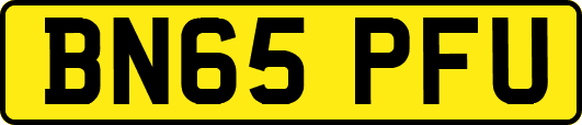 BN65PFU