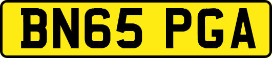 BN65PGA