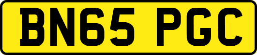 BN65PGC