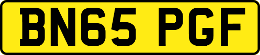 BN65PGF