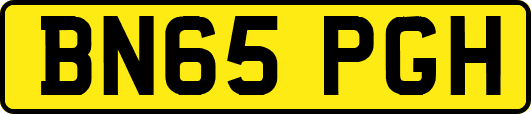 BN65PGH