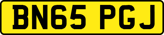BN65PGJ