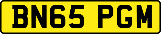 BN65PGM