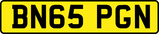 BN65PGN