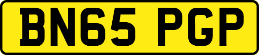 BN65PGP