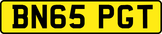 BN65PGT